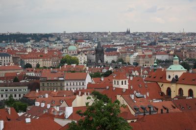 IMG_8036_1.jpg