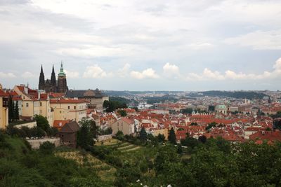 IMG_8051_1.jpg