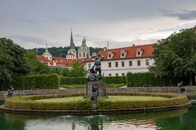 IMG_8084_1.jpg