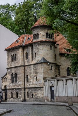 IMG_8100_1.jpg