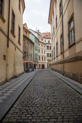 IMG_8109_1.jpg