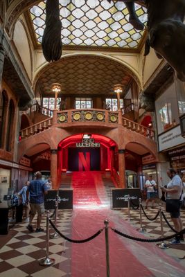 IMG_8136_1.jpg