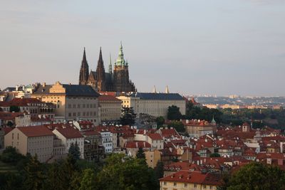 IMG_8177_1.jpg