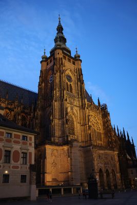 IMG_8182_1.jpg