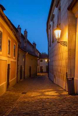 IMG_8195_1.jpg
