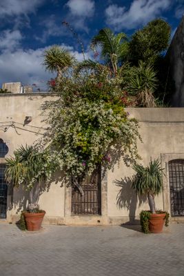IMG_1746_1.jpg