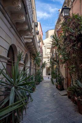 IMG_1765_1.jpg