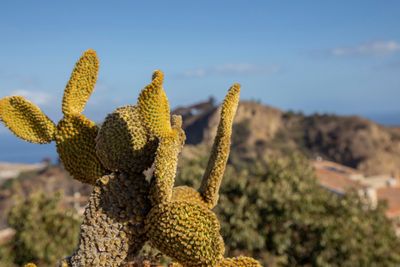 IMG_1820_1.jpg