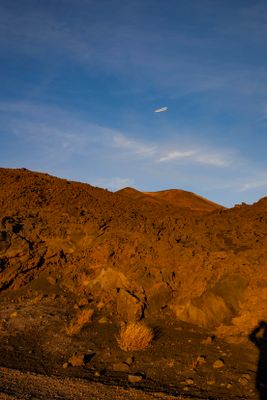 IMG_1995_1.jpg