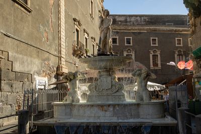 IMG_2026_1.jpg