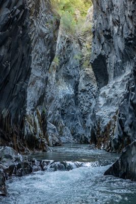 IMG_2084_1.jpg