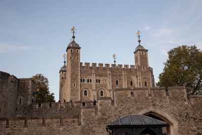 IMG_0528_1.jpg