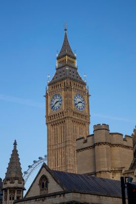 IMG_0646_1.jpg
