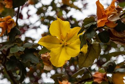 IMG_3491_2.jpg