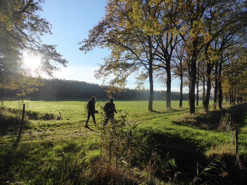 Leuvenheimsebeek