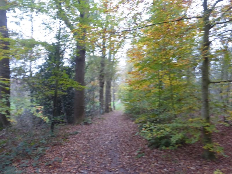Onderweg