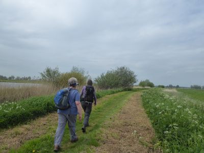 Richting IJssel