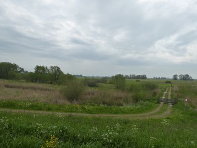 Uiterwijkseweg