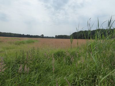 Richting Beneden Hammerwetering