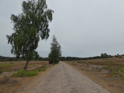 g13/78/312478/3/173741969.fef55a72.JPEG