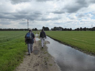 Terpweg