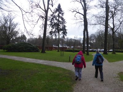 g13/78/312478/3/175131019.77971855.JPEG