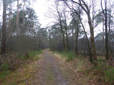 Start 't Harde