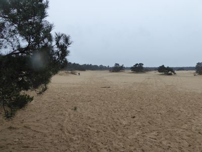 Stuifzand De Haere