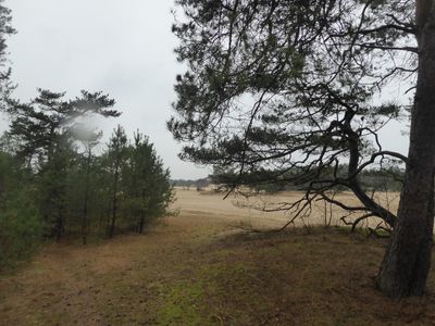 Stuifzand De Haere