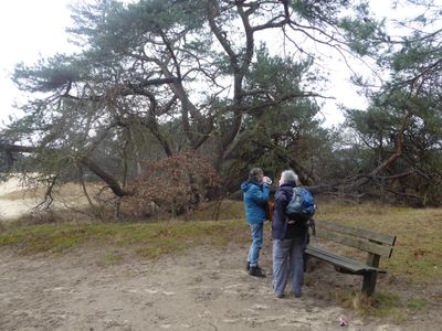 Stuifzand De  Haere