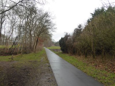 Bossen bij 't Harde