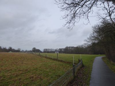 Bossen bij 't Harde