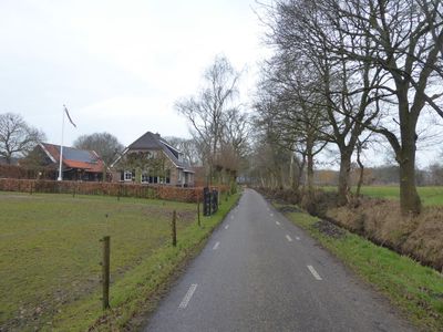 Bossen bij 't Harde