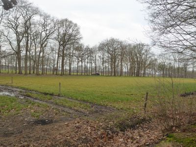 Bossen bij 't Harde