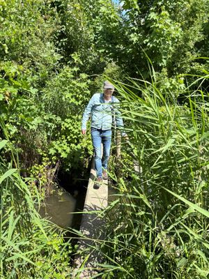 foto's Balk Gunterstein (brug) in de loop der jaren