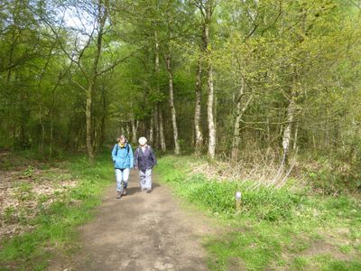 Trage Tocht Ermelo 26 april 2025