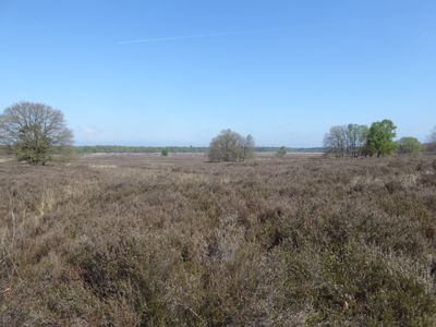 Ermelosche Heide
