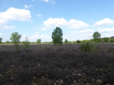Onderweg