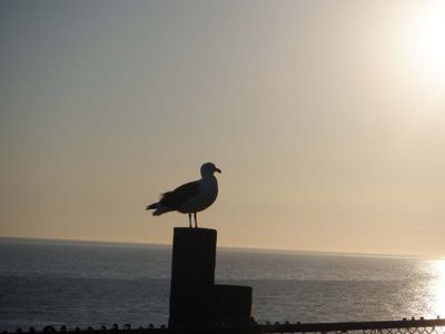 DSCF0411.jpg