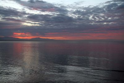 IMG_4100.jpg