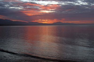 IMG_4104.jpg