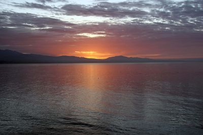 IMG_4109.jpg