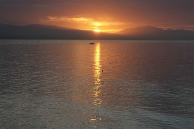 IMG_4115.jpg