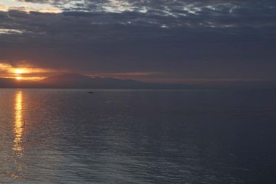 IMG_4117.jpg