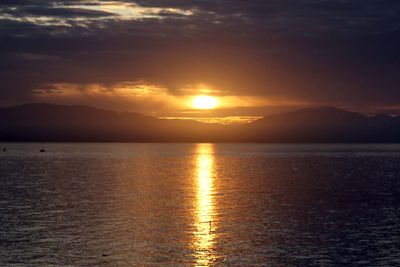 IMG_4120.jpg