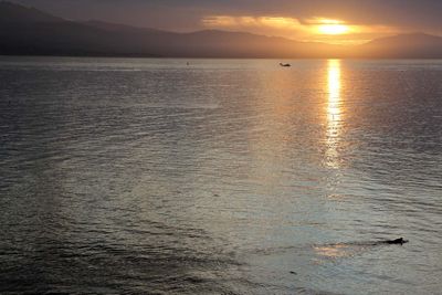 IMG_4123.jpg