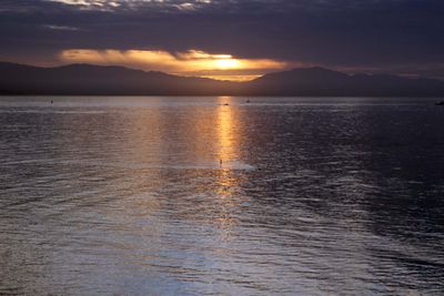 IMG_4126.jpg