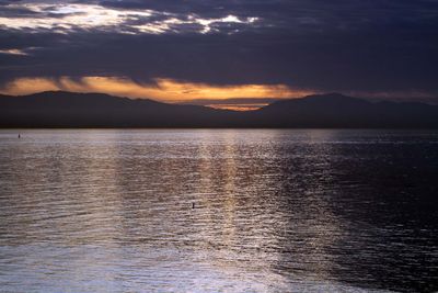 IMG_4129.jpg