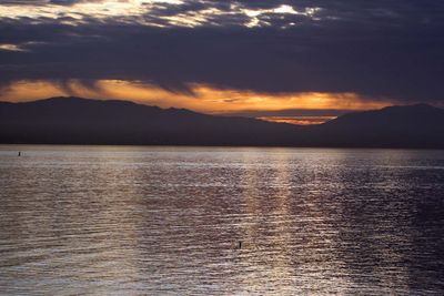 IMG_4132.jpg