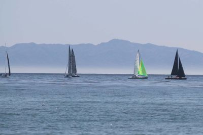 IMG_4140.jpg